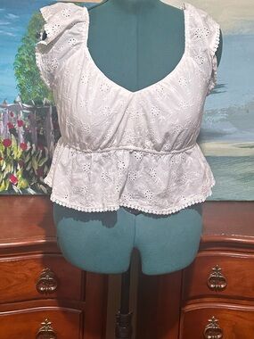 Celebrity Pink White Eyelet Peplum Crop Top with Flutter Sleeves